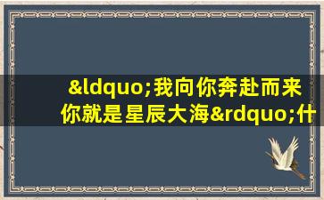 “我向你奔赴而来 你就是星辰大海”什么意思